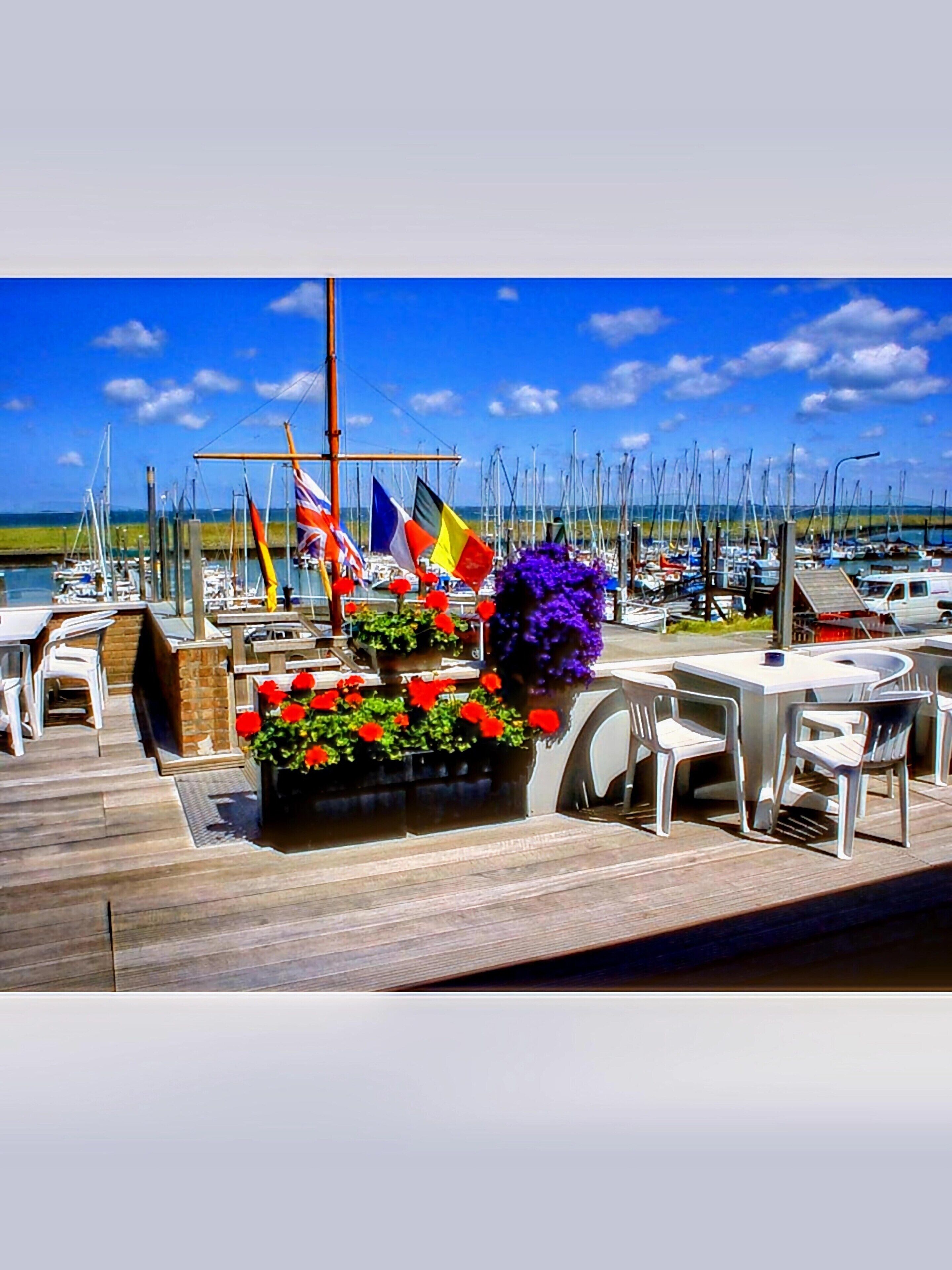 House | View from property