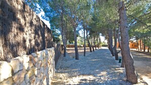 Un chemin de pierres bordé d’arbres, qui mène à un bâtiment dont le mur gauche est en pierre.
