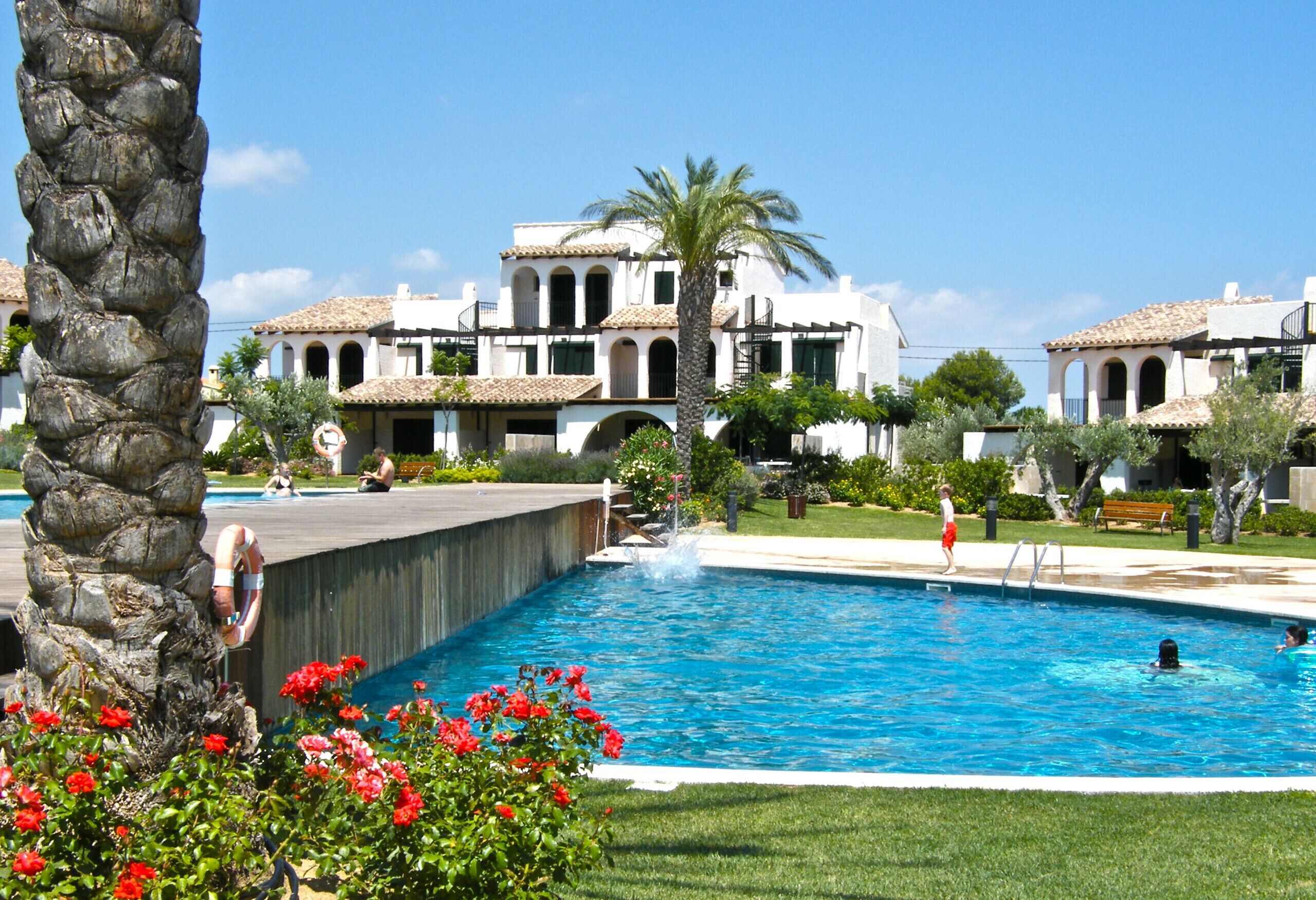Una piscina con fuente, rodeada por un césped cuidado y palmeras.
