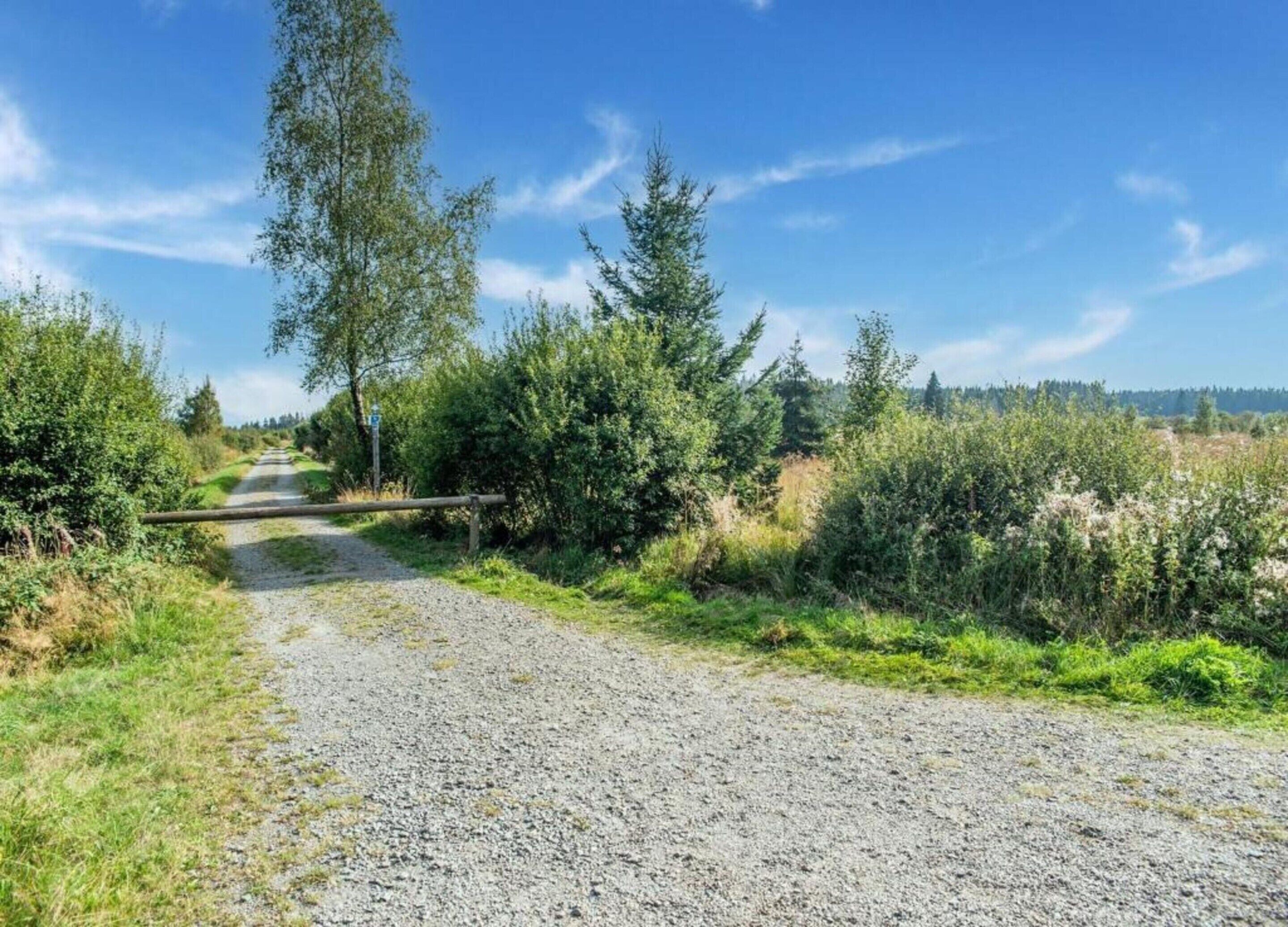 A gravel path leading through a natural landscape with trees and shrubs.