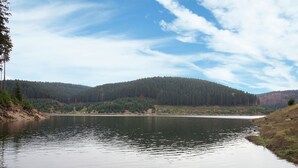 Oklassificerad bild, 2 av 17, knapp