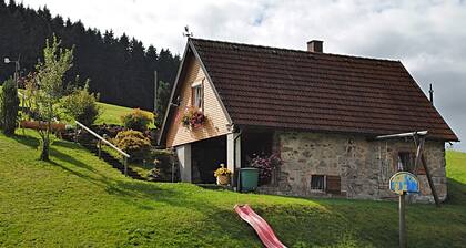 Ferienhaus in Brigach