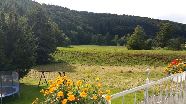 A grassy field with a trampoline and flowers, surrounded by trees and a hill. - Unterkunft mit Zwei Baeder in Lirstal (Lirstal)