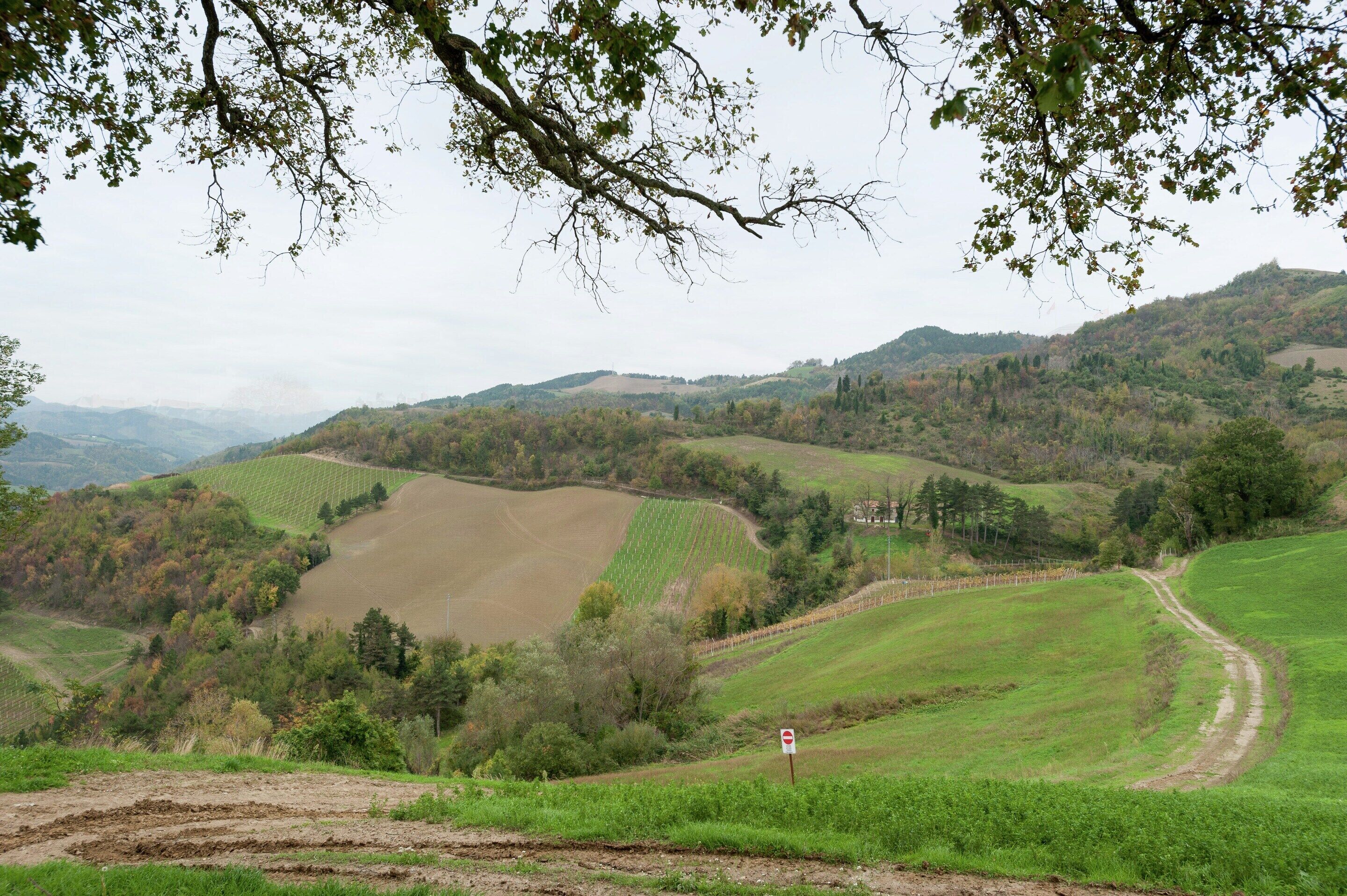 Căn hộ | Quang cảnh nhìn từ nơi lưu trú