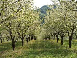 Leilighet | Innvendig detalj