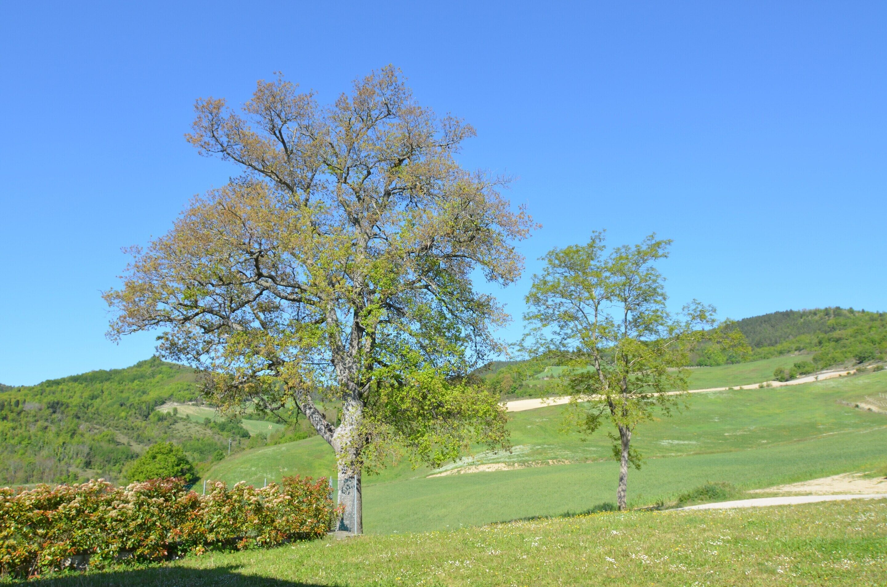 公寓 | 住宿景觀