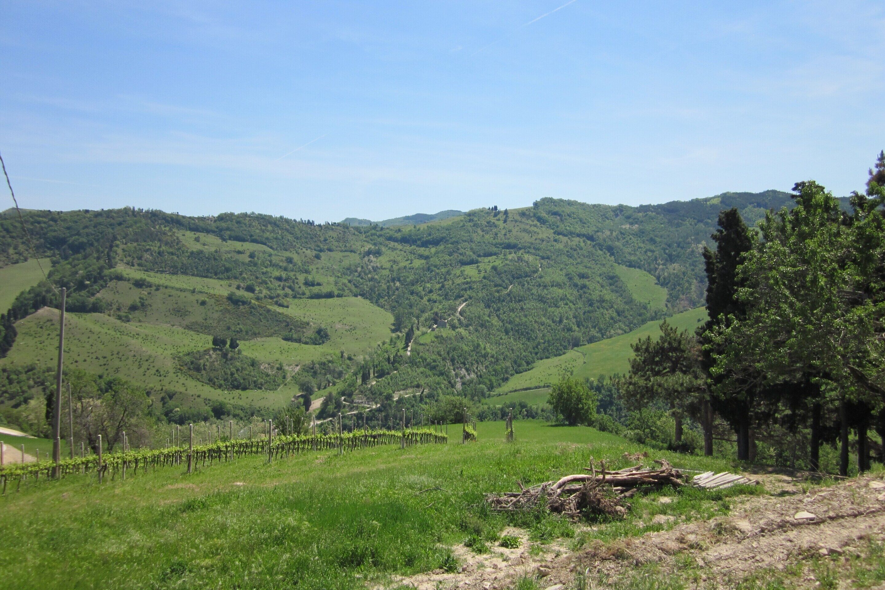 Apartment | View from property