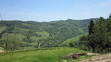 Apartment | View from property