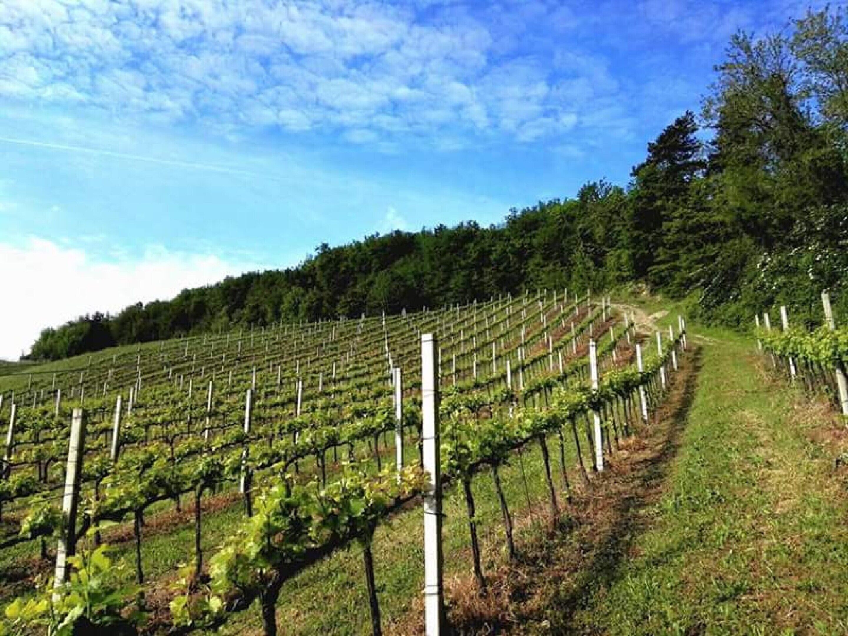 Apartment | Interior detail