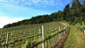 Apartment | Interior detail
