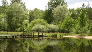 Exterior - Modern Holiday Home in Beckedorf With Terrace (Südheide)