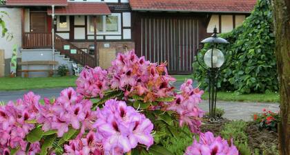 Family-friendly Holiday Home in Alheim-obergude With Garden