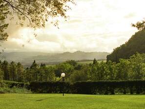 Exterior - A Beautiful Tuscan Farmhouse and a Large Swimming Pool and Relaxing (Terricciola)