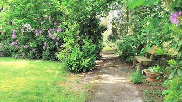 House | View from property