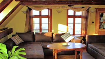 House | Living area | Fireplace