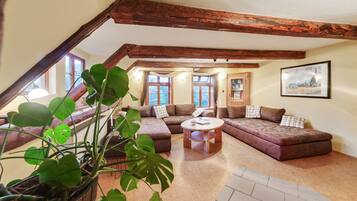 House | Living room | Fireplace