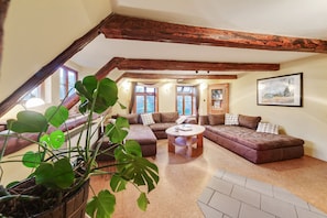 House | Living room | Fireplace - Spacious Apartment With Garden (Langlingen)