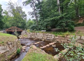 View from property - Classic Holiday Home in Harz near Braunlage Ski Area (Ilsenburg)