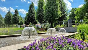 Um parque com um espelho d'água e flores roxas.