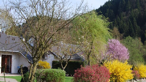 Unclassified image, 1 of 26, button - Tidy Holiday Home with Fireplace near Malmédy (Malmedy)