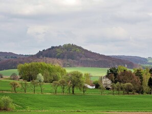 House | View from property