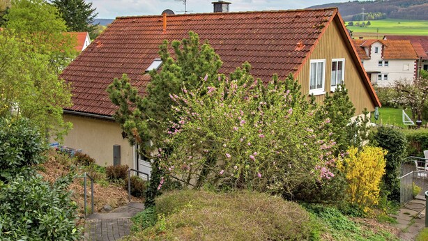 A house with a red-tiled roof, a small window, and a garden with flowering bushes. - Ferienhaus in Homberg (Homberg)