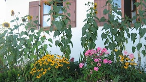Un jardin avec différentes sortes de fleurs et de plantes devant un bâtiment aux volets en bois.