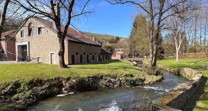 Mansion With Pool, Neblon