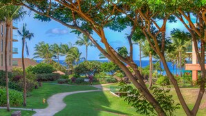 A well-maintained garden with a curved pathway leading to a building, surrounded by palm trees and lush greenery.