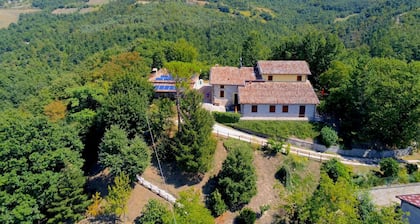 Pet-friendly Retreat