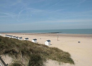 House | View from property - Farmhouse Home in Eede (Eede)