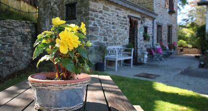 Forest Hideaway, Baillamont