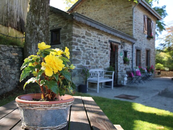 Garden - Forest Hideaway, Baillamont (Bievre)