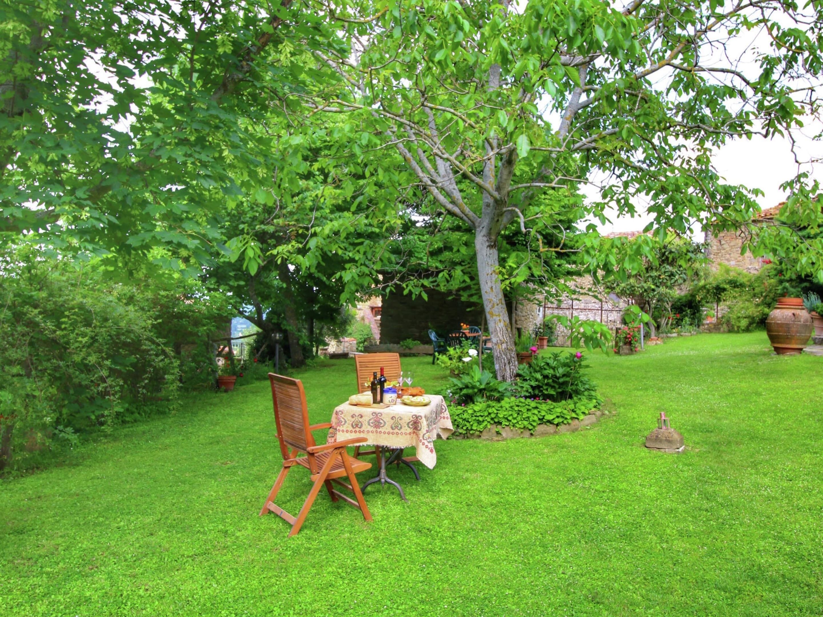 Un jardin avec une table et des chaises, entouré d’une végétation luxuriante et d’un grand arbre.