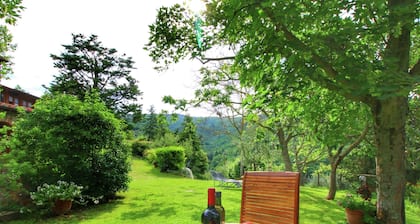 Farmhouse in Cortona