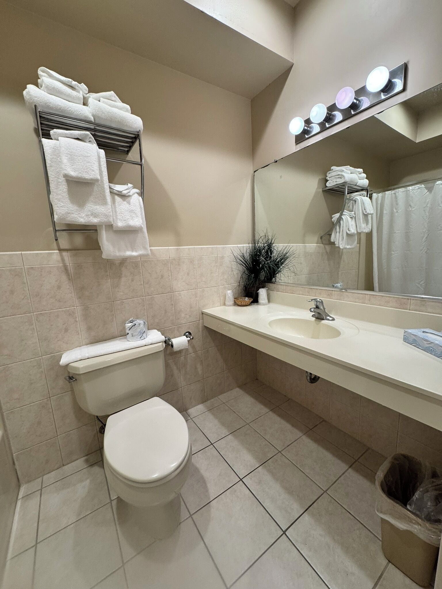 Une salle de bain moderne avec des toilettes, un lavabo et un miroir. Des serviettes sont suspendues sur un porte-serviettes et une plante est posée sur le comptoir.