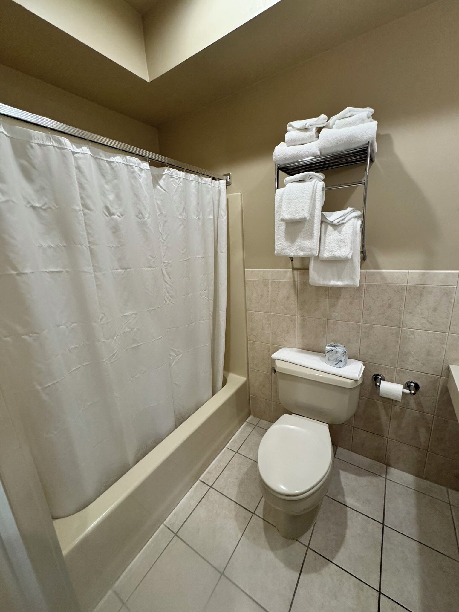 Une salle de bain avec douche, toilettes et porte-serviettes.