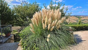 A garden with tall grasses and a metal railing. - Belvilla by OYO Camino (Arcevia)