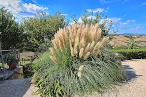 Apartment | Innendetails