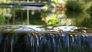 A waterfall with a clear view of the water cascading down.