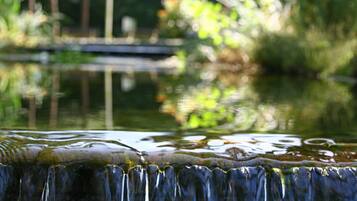 Chalet | View from property