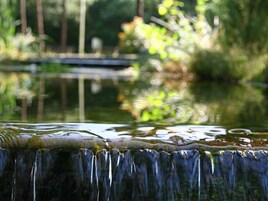 Chalet | Uitzicht vanuit accommodatie