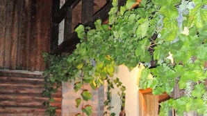 Balcony - Modern Holiday Home in Laucha Thuringia With Private Terrace (Hörsel)