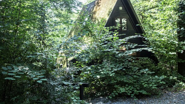 A small, dark-colored cabin surrounded by dense green foliage. - Quaint Chalet in Petithan With Roofed Pool (Durbuy)