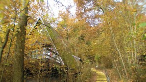 A forested path with a staircase leading up to a building. - Quaint Chalet in Petithan With Roofed Pool (Durbuy)