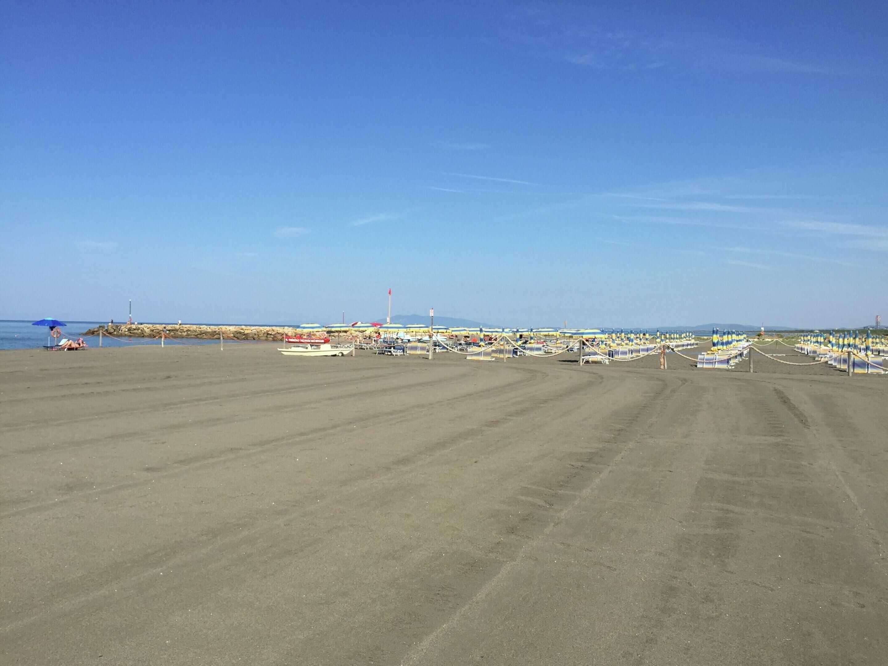 A beach with rows of umbrellas and beach chairs, a pier in the background, and a clear sky.