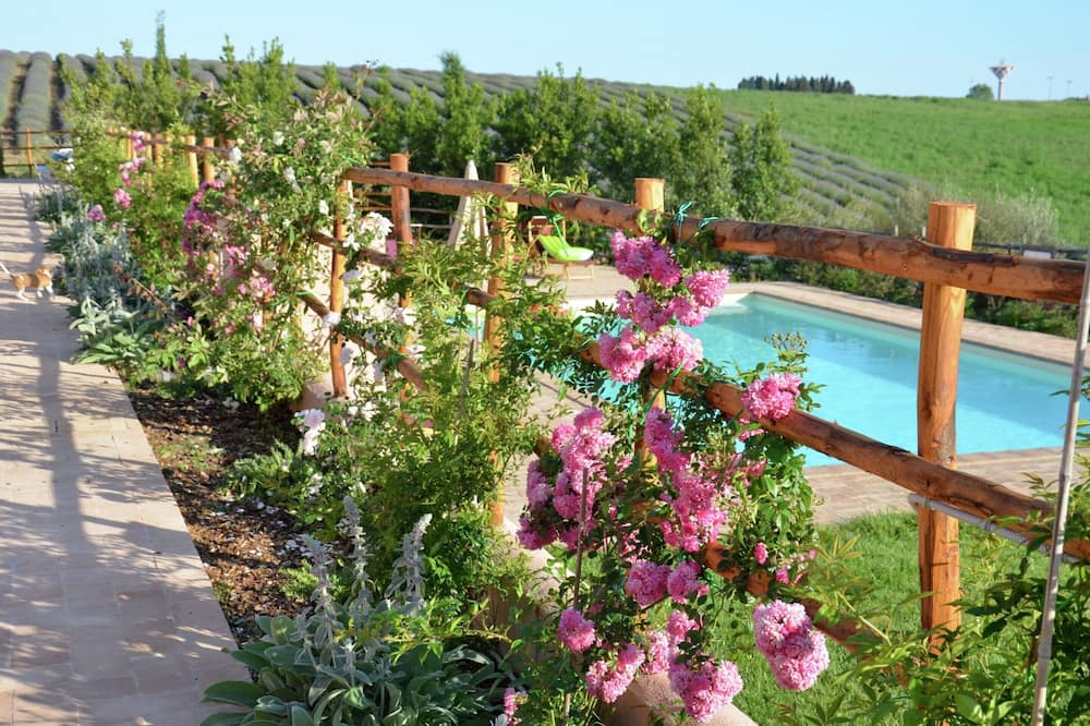 Farmhouse Montalto Near Sandy Beaches - Lido di Tarquinia