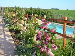 Et poolområde med træhegn, blomstrende planter og udsigt til en vingård i baggrunden.
