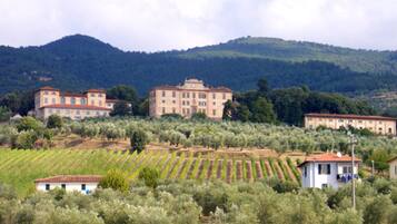 House | Pemandangan dari hartanah