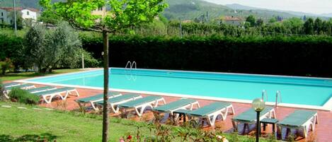 House | Pool | Outdoor pool